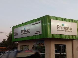 Foto Solutio